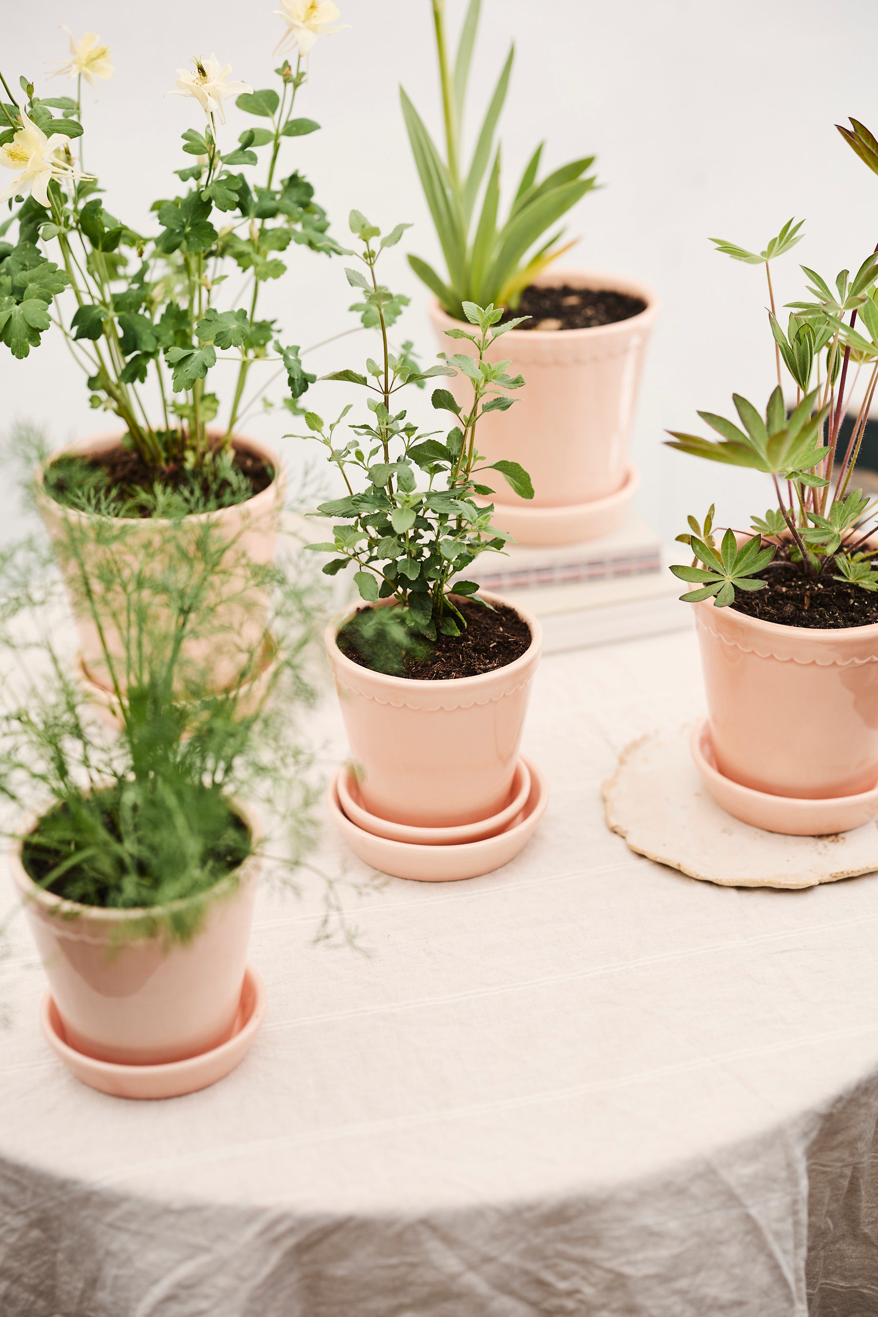 Pot Helena - roze-Angelo