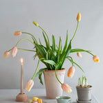 Pot Københavner - hoog-Angelo