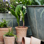 Pot Københavner - hoog-Angelo