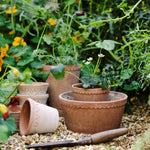 Pot Københavner - laag-Angelo