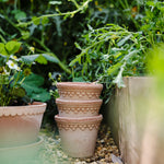 Pot Københavner-Angelo