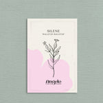 Silene conica 'balletje-balletje'-Angelo