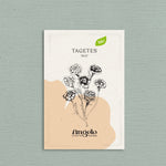 Tagetes erecta 'Mix'-Angelo
