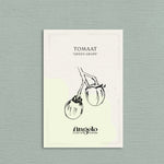 Tomaat 'Green Grape'-Angelo