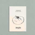 Tomaat 'Summer Cider'-Angelo