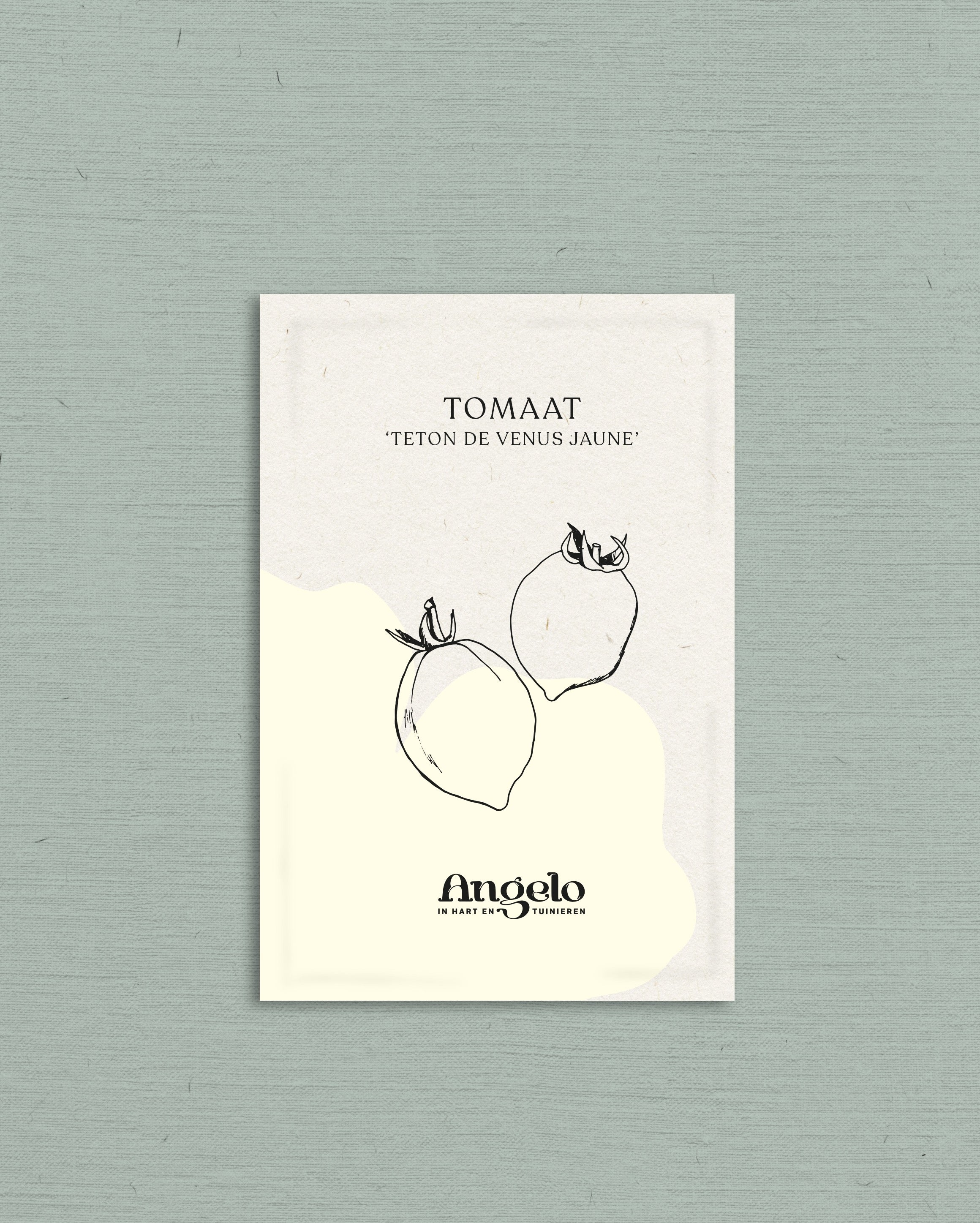 Tomaat 'Teton de Venus Jaune'-Angelo