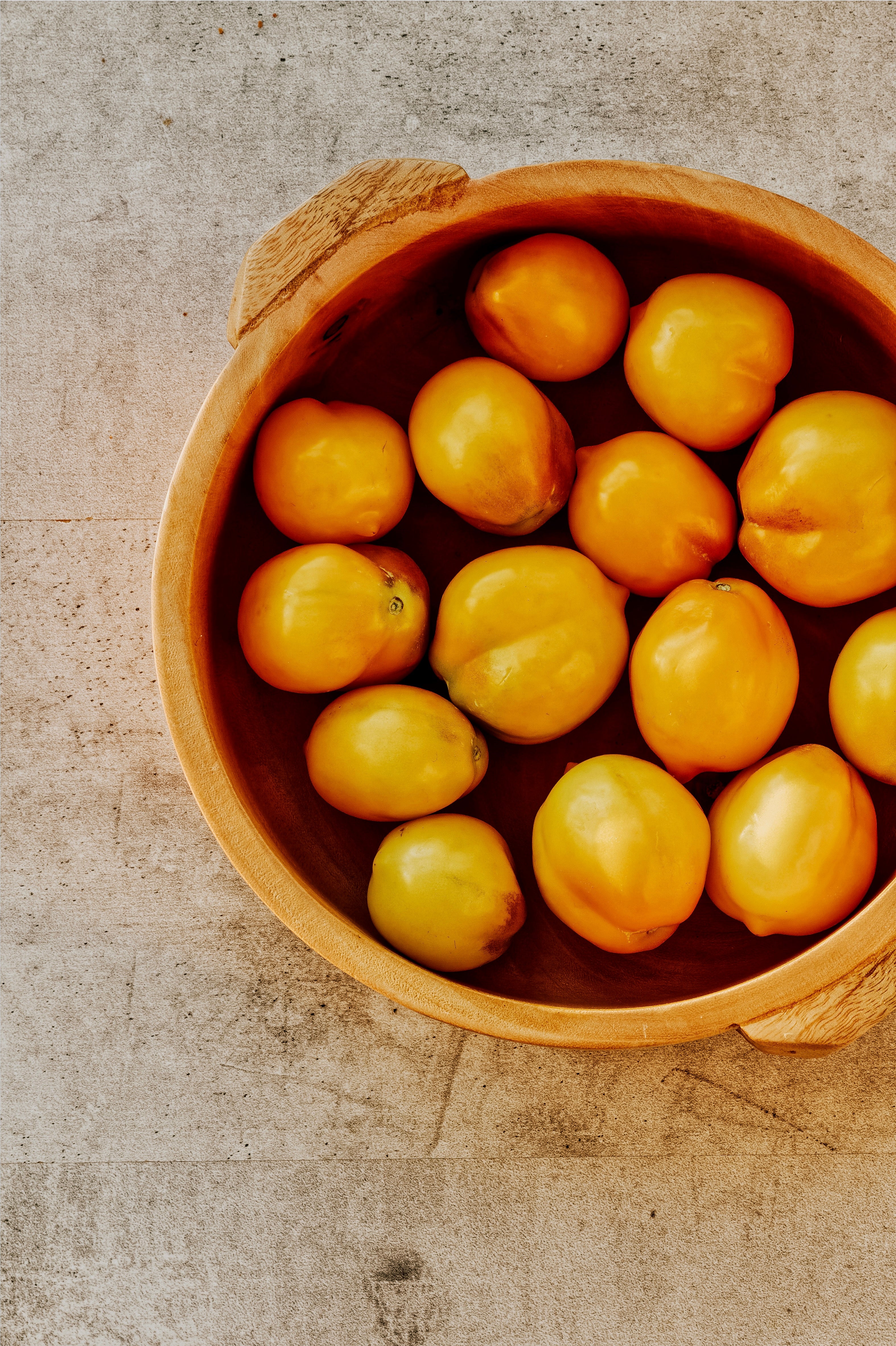 Tomaat 'Teton de Venus Jaune'-Angelo