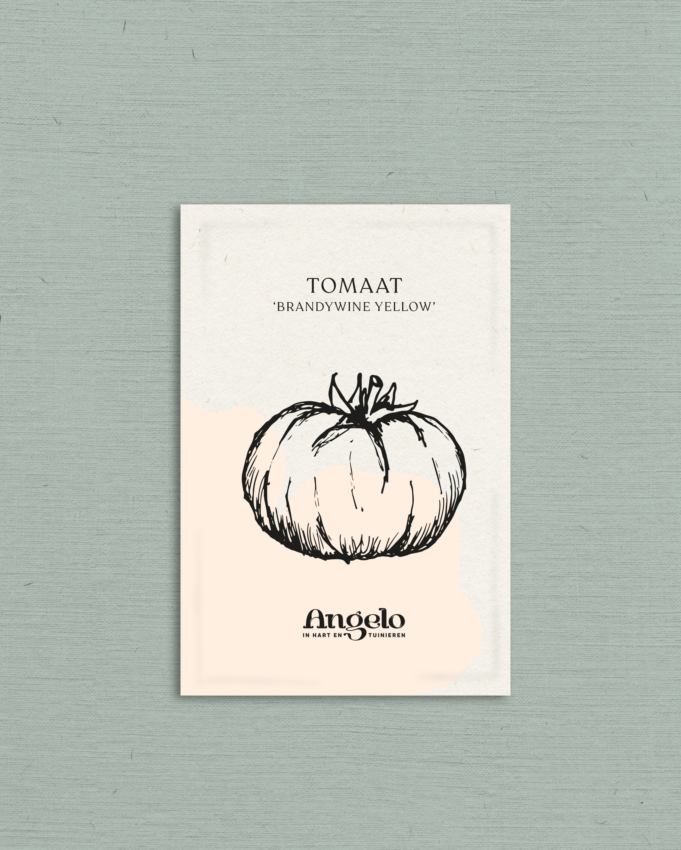 Tomaat 'Brandywine Yellow'-Angelo