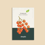 Tomaat 'Miel du Mexique'-Angelo