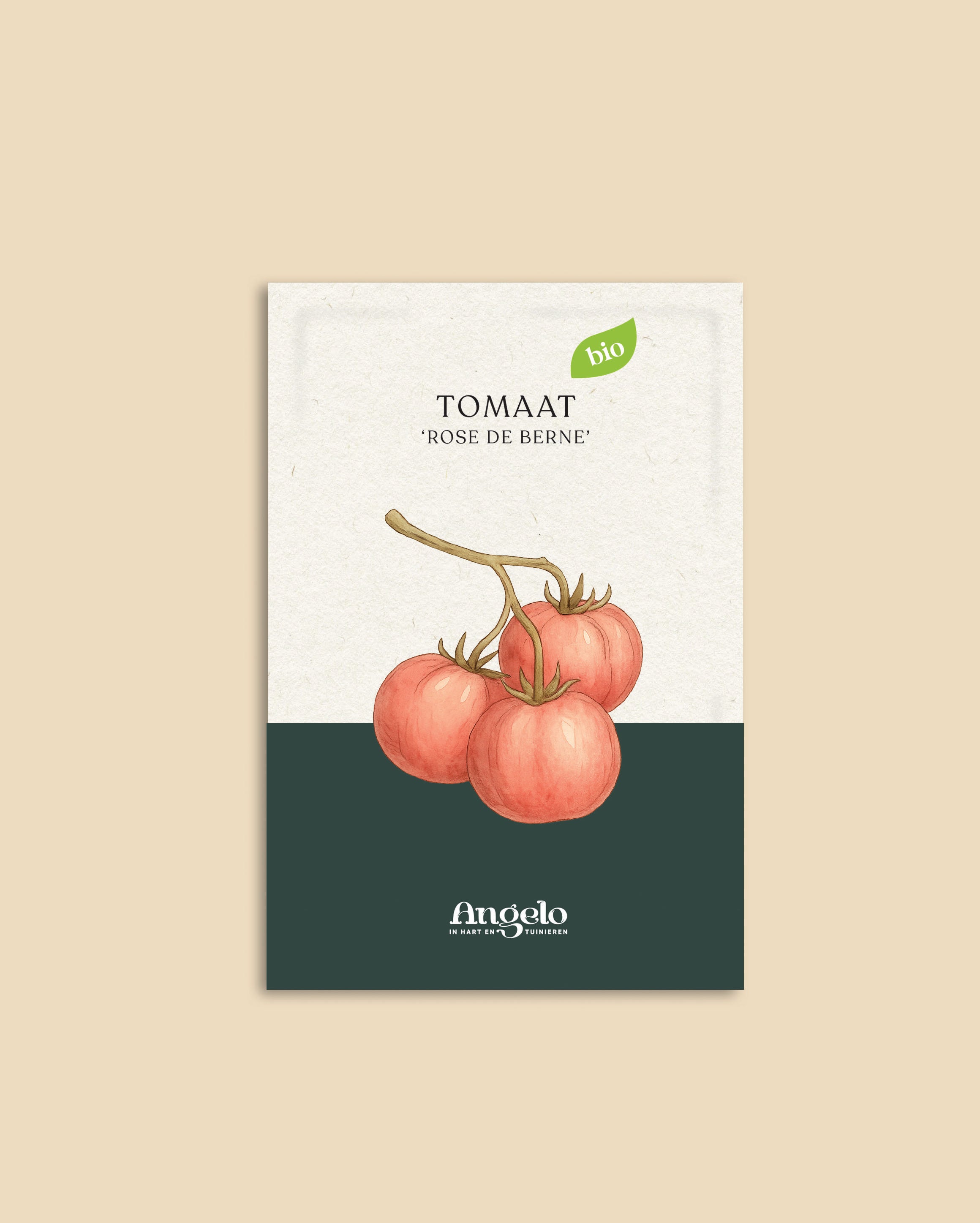 Tomaat 'Rose de Berne'-Angelo