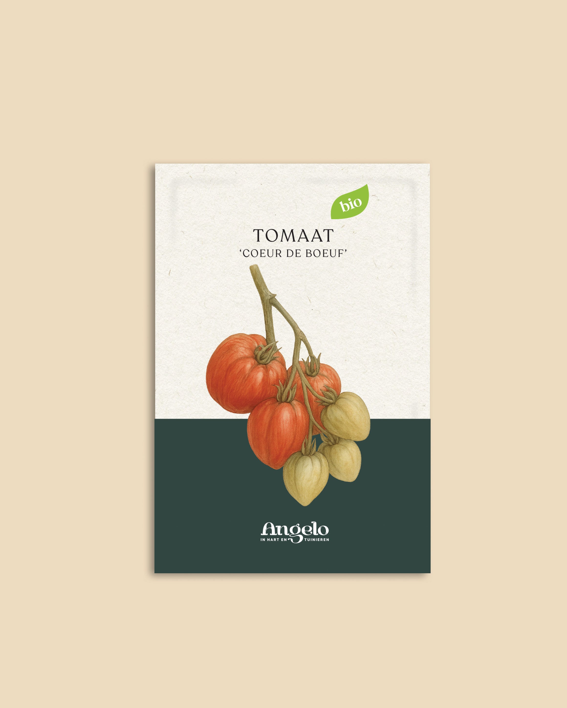 Tomaat 'Coeur de Boeuf'-Angelo