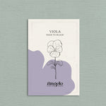 Viola cornuta 'back to black'-Angelo