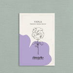 Viola wittrockiana 'frizzle sizzle blue'-Angelo