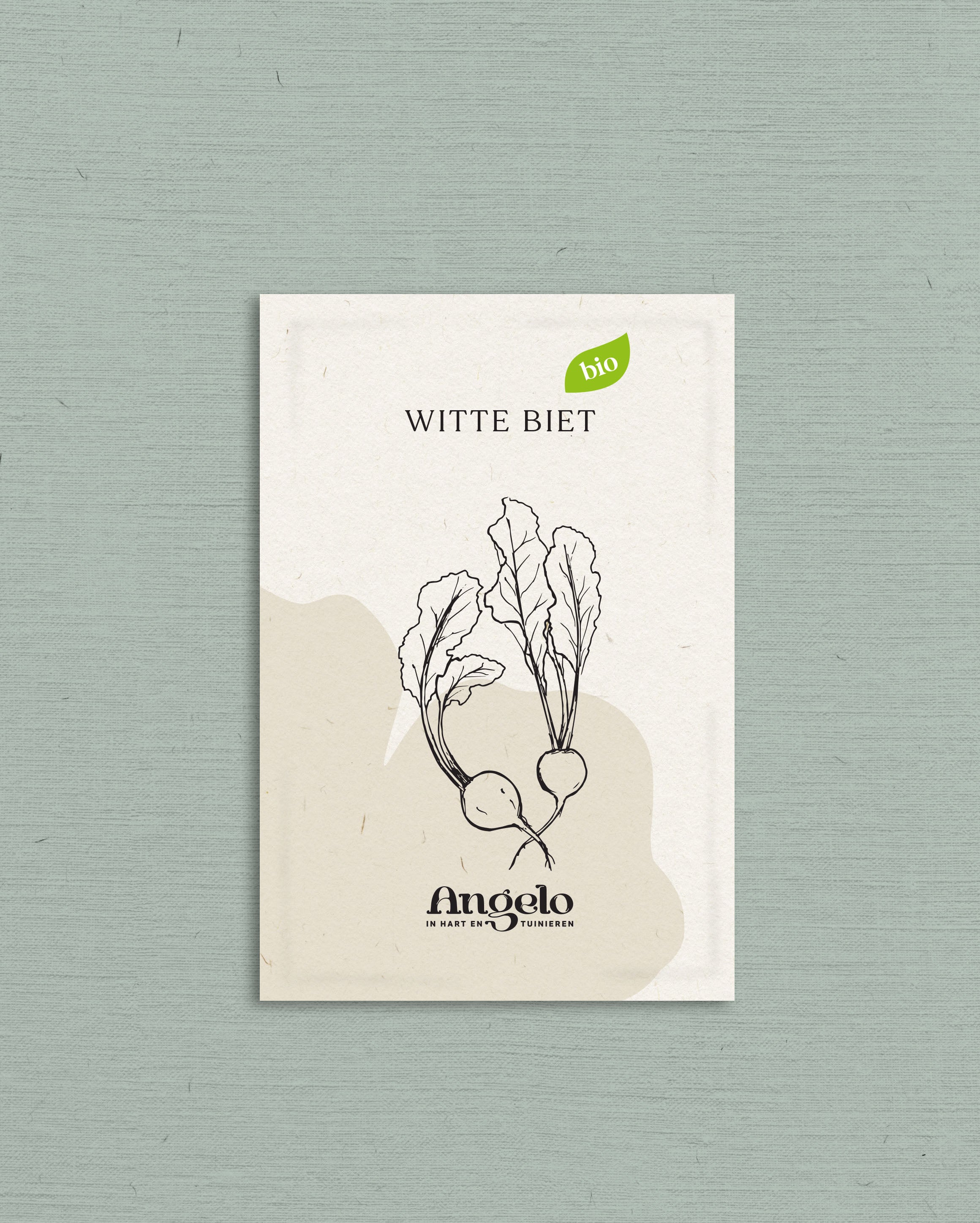 Witte biet-Angelo