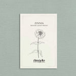 Zinnia elegans 'Benary Giant White'-Angelo