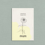 Zinnia elegans 'Isabellina'-Angelo