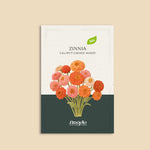 Zinnia elegans 'Lilliput Choice Mixed'-Angelo