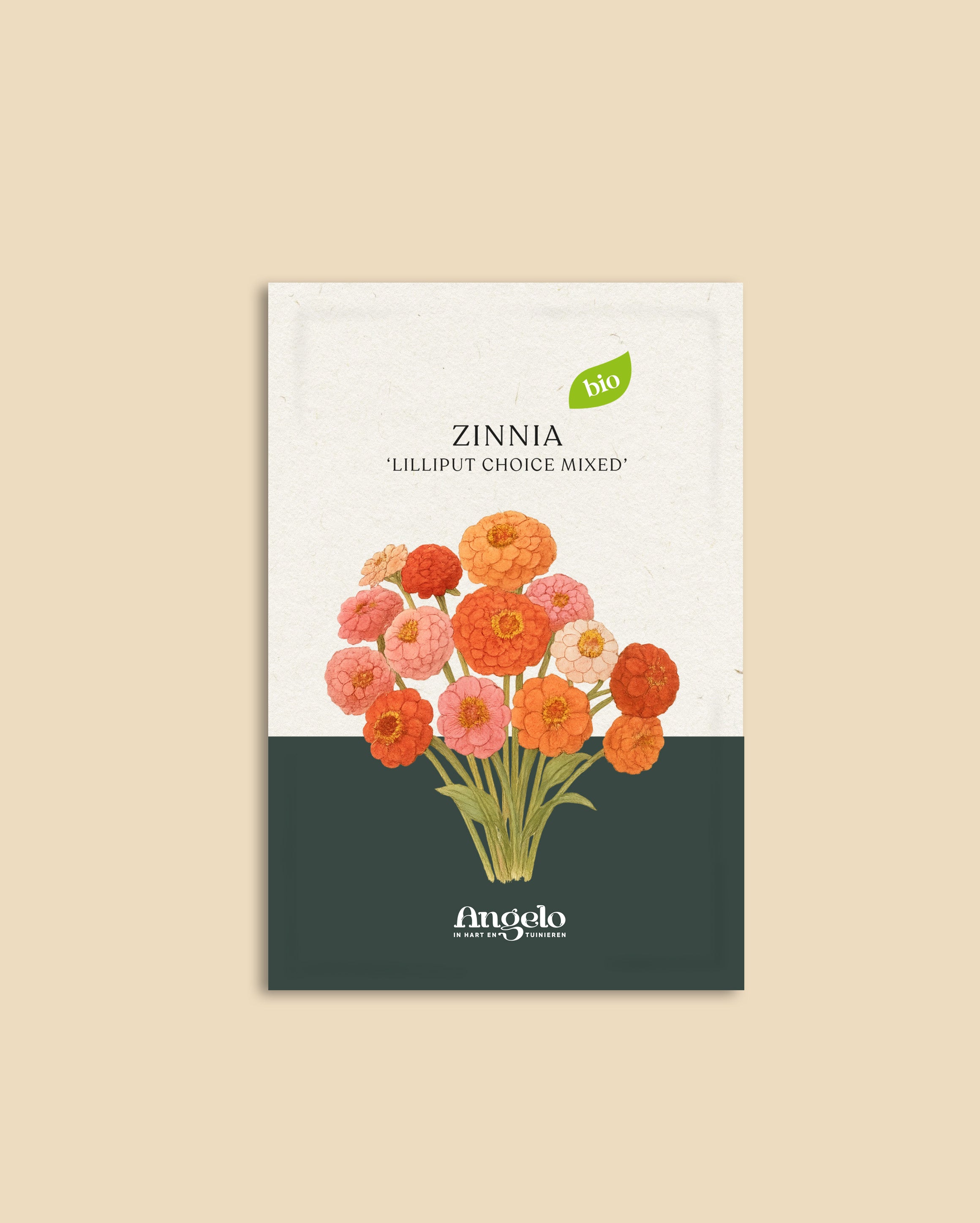 Zinnia elegans 'Lilliput Choice Mixed'-Angelo