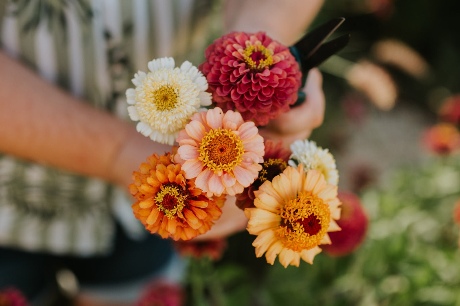 Boeket plukbloemen.