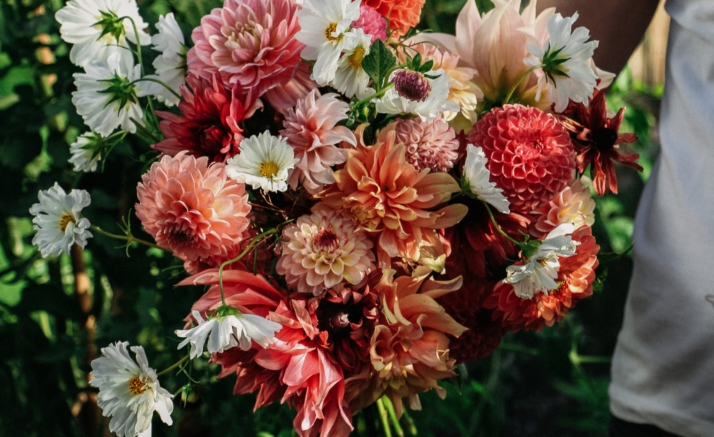 Tips om te starten met een pluktuin-Angelo