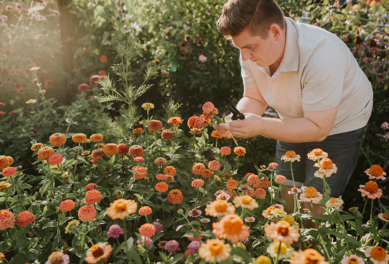 Bloemen plukken in juli