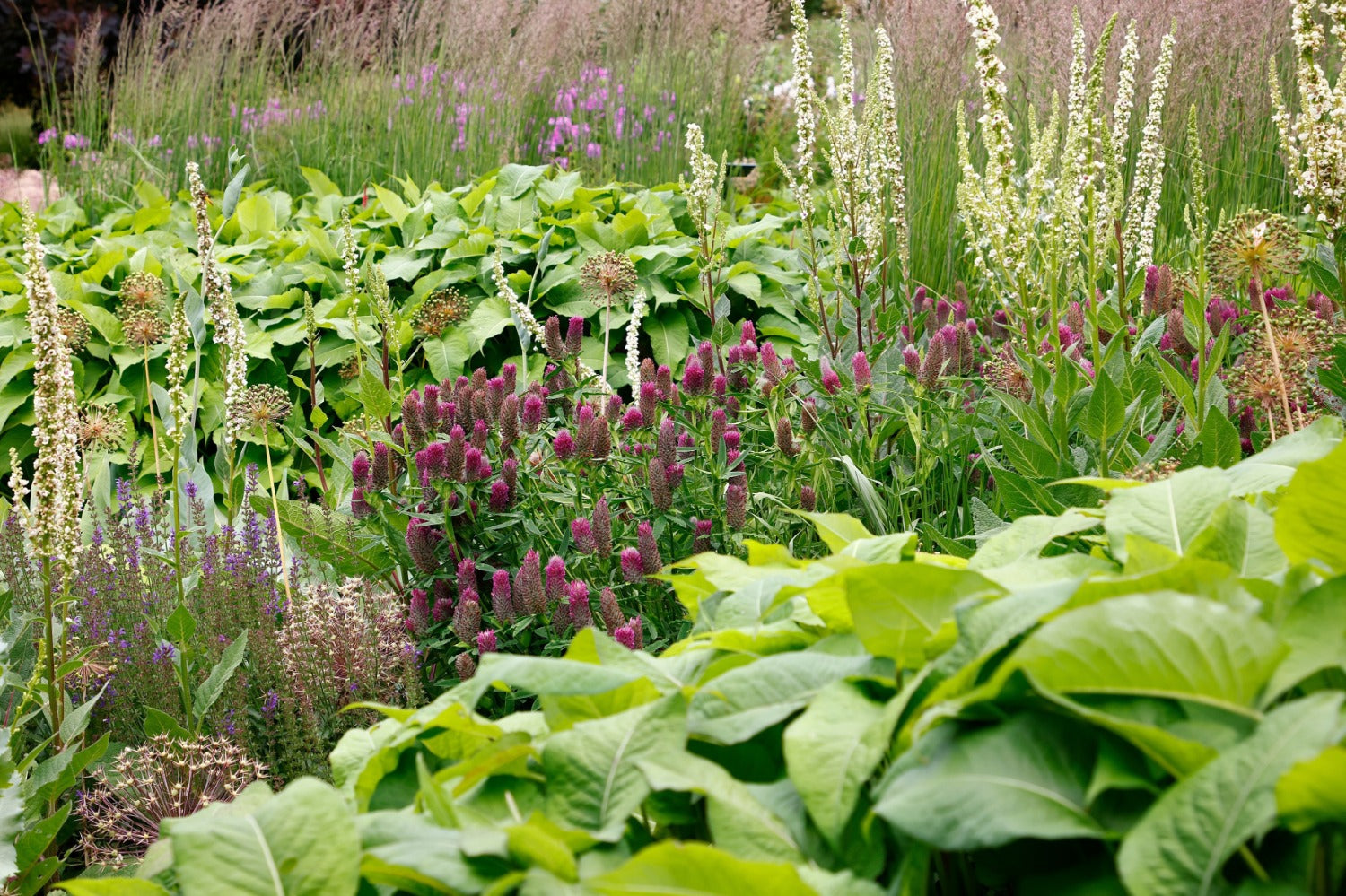 biodiversiteit brengt leven naar de tuin