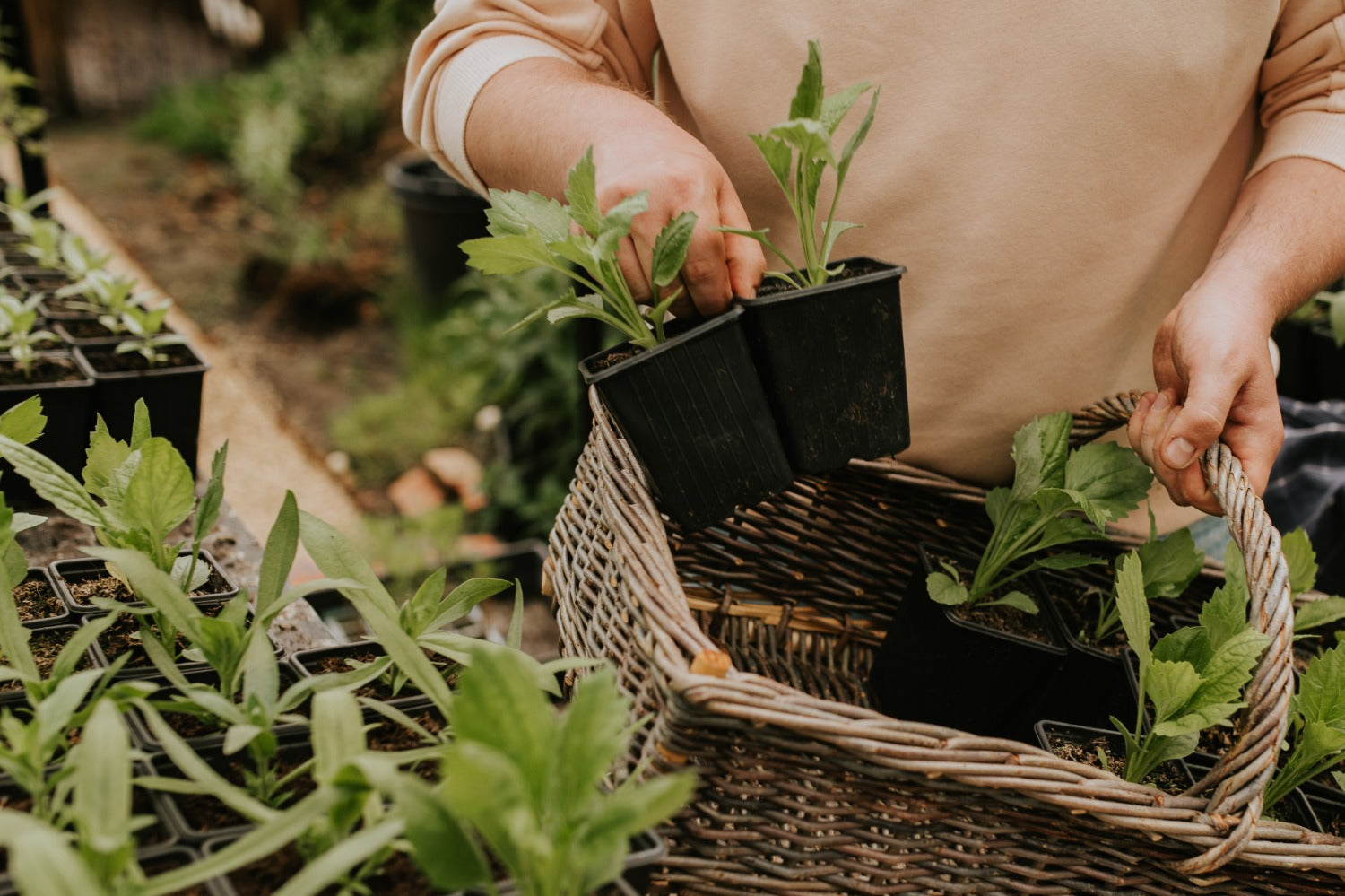 een border aanleggen