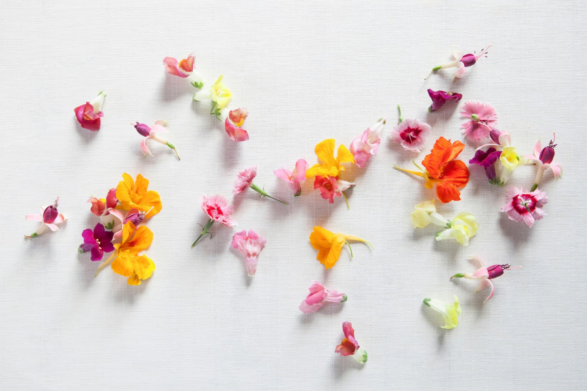 Eetbare bloemen oogsten