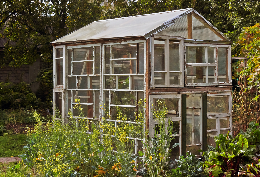 Een houten kas met glazen panelen omringd door groenten en bloemen in een tuin.
