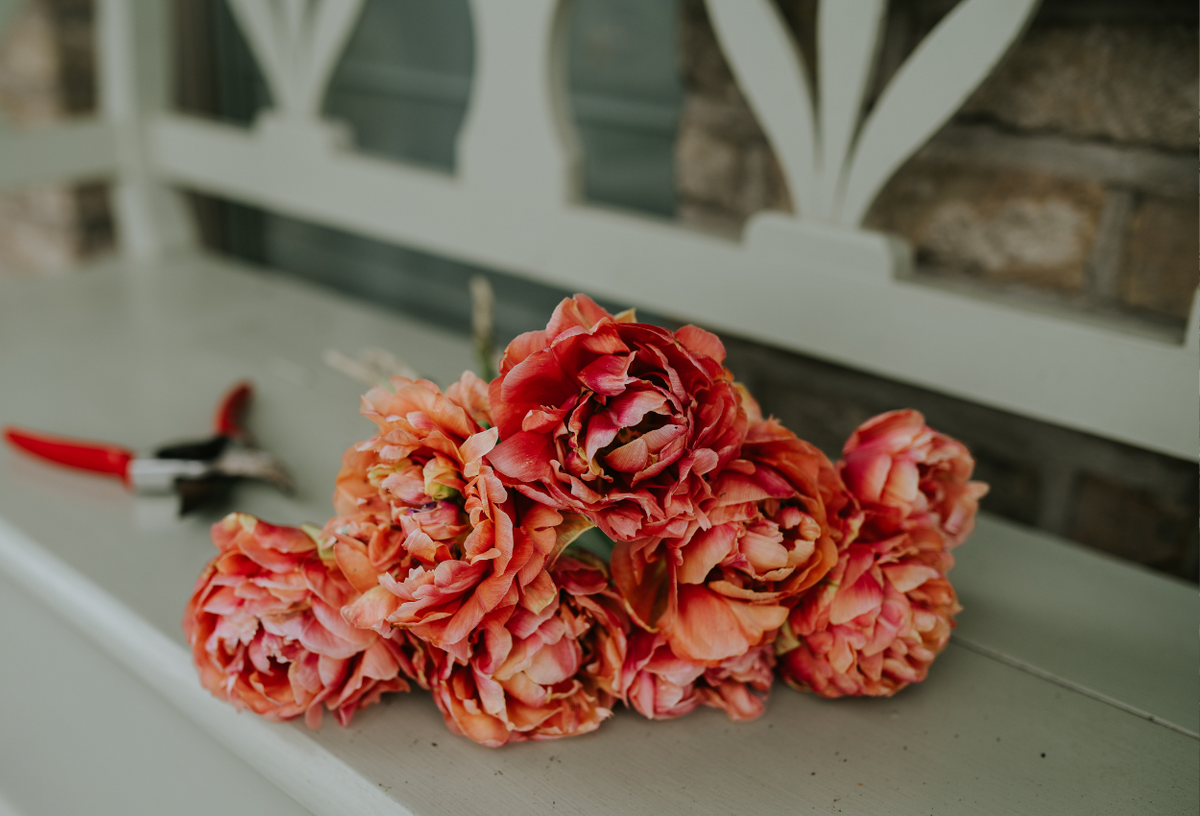 Tulpen