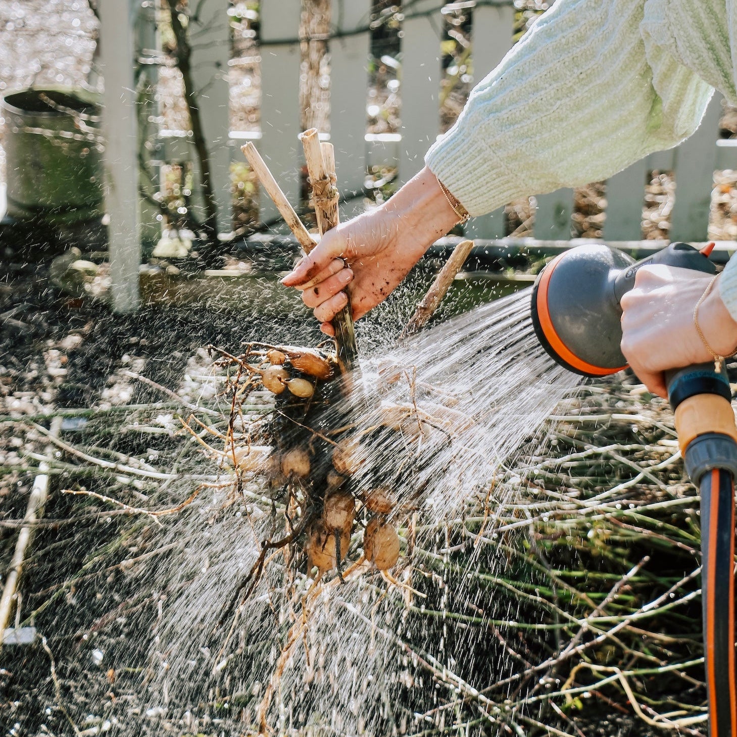 regenwater gebruiken in de tuin