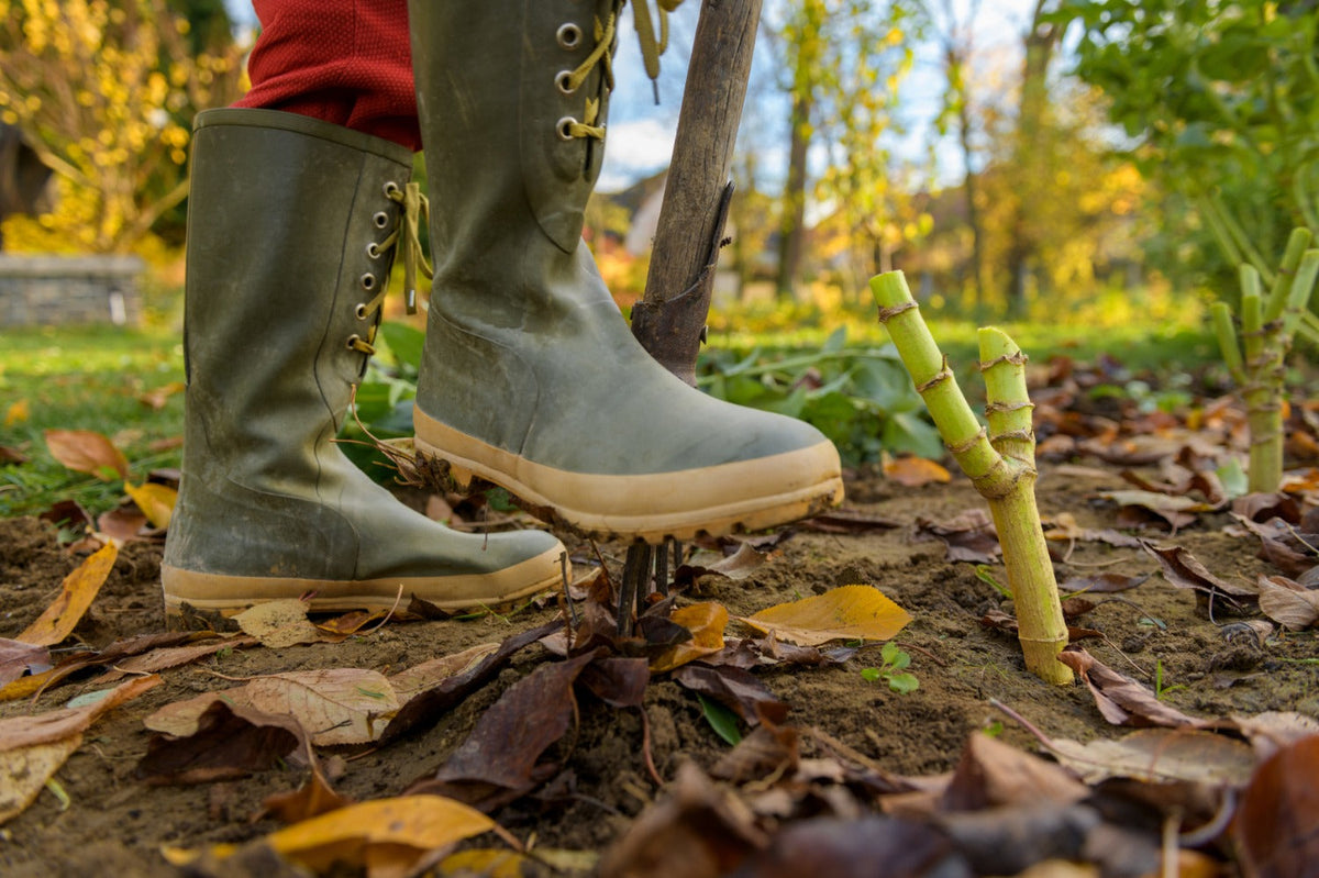 tuinklusjes voor de maand november