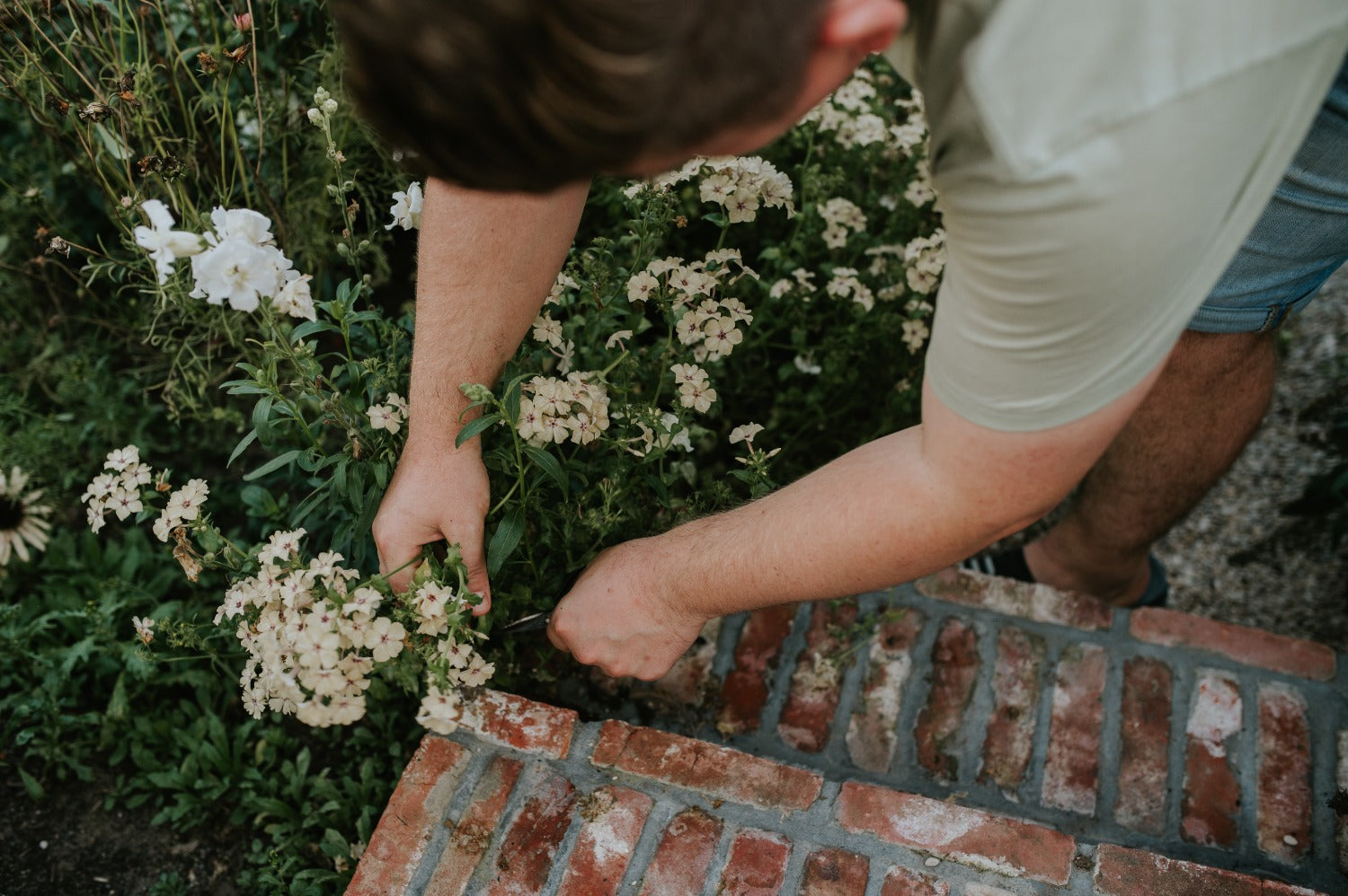 angelo knipt bloemen in de tuin