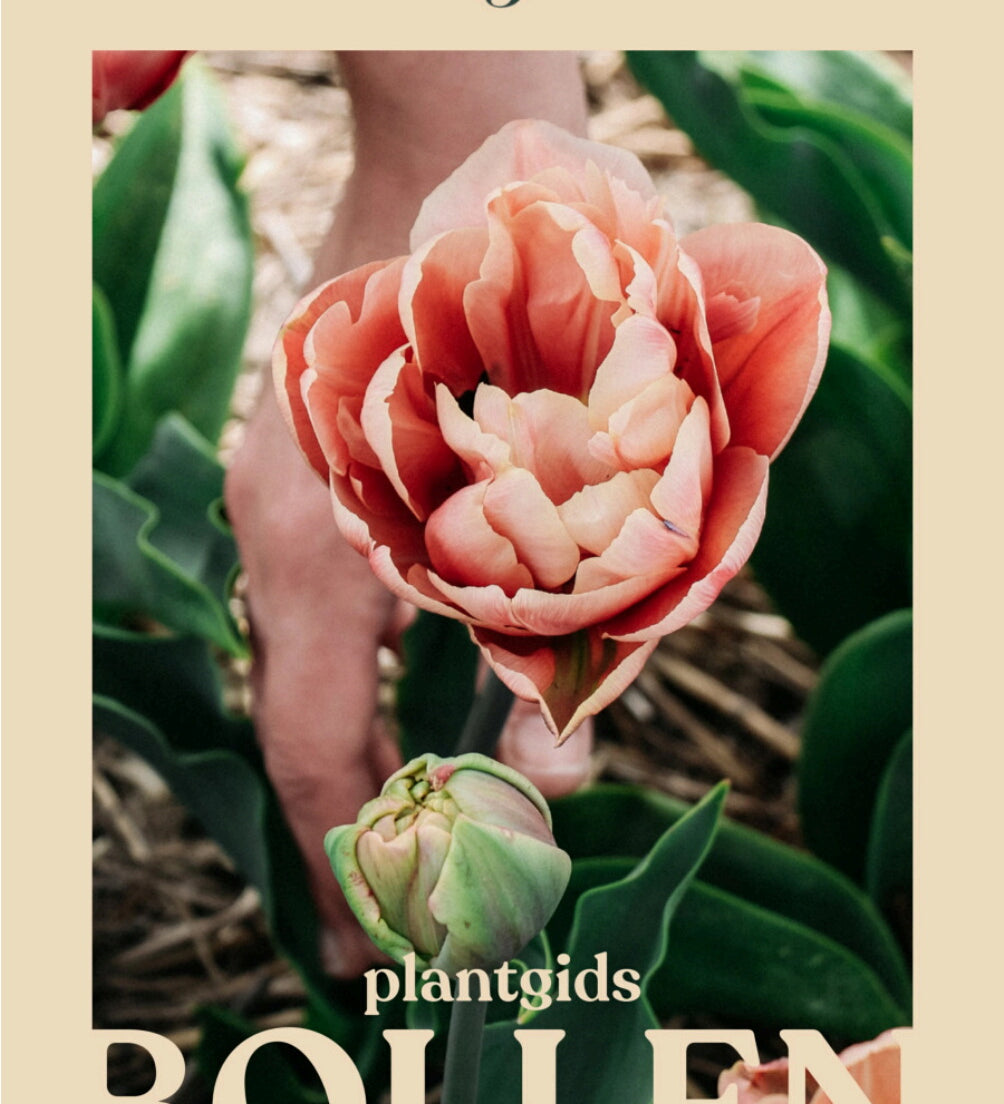 Producten