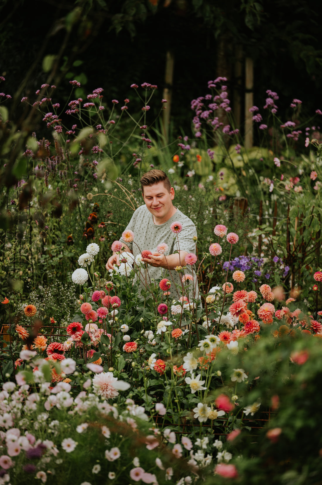 Meisterkurs Pflücken im Garten von A bis Z &amp; Meisterkurs Dahlienanbau