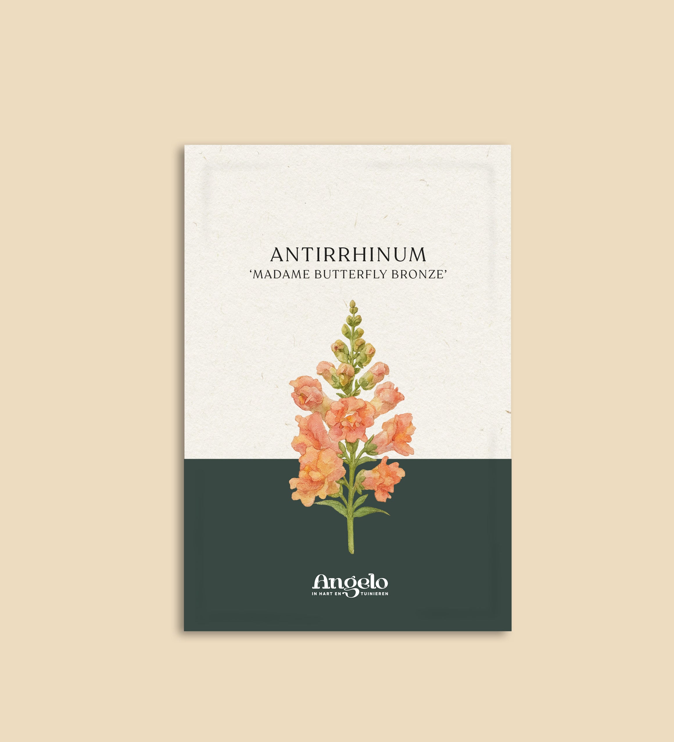Antirrhinum majus 'madame butterfly bronze'-Angelo