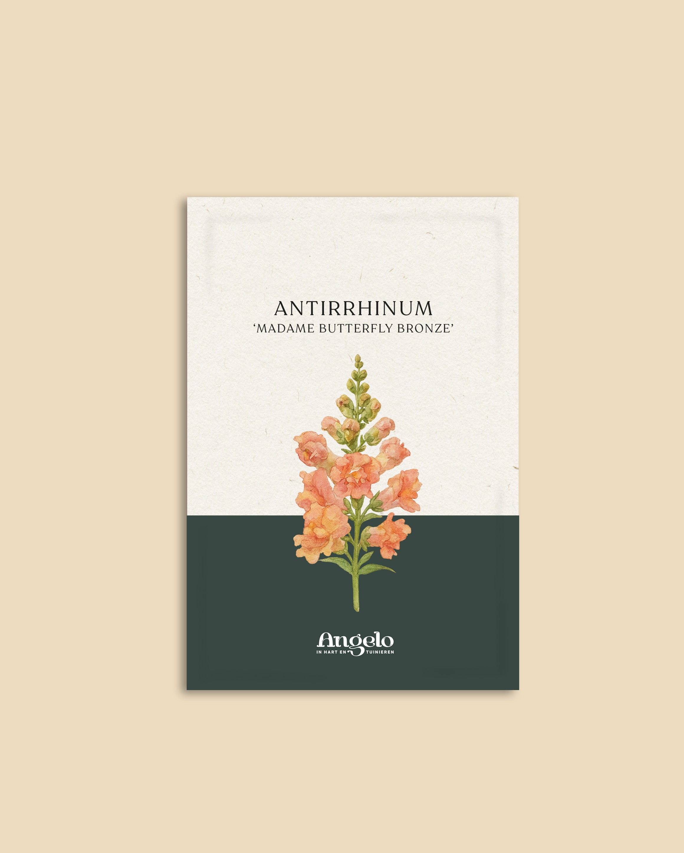 Antirrhinum majus 'madame butterfly bronze'-Angelo