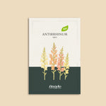 Antirrhinum majus 'mix'-Angelo