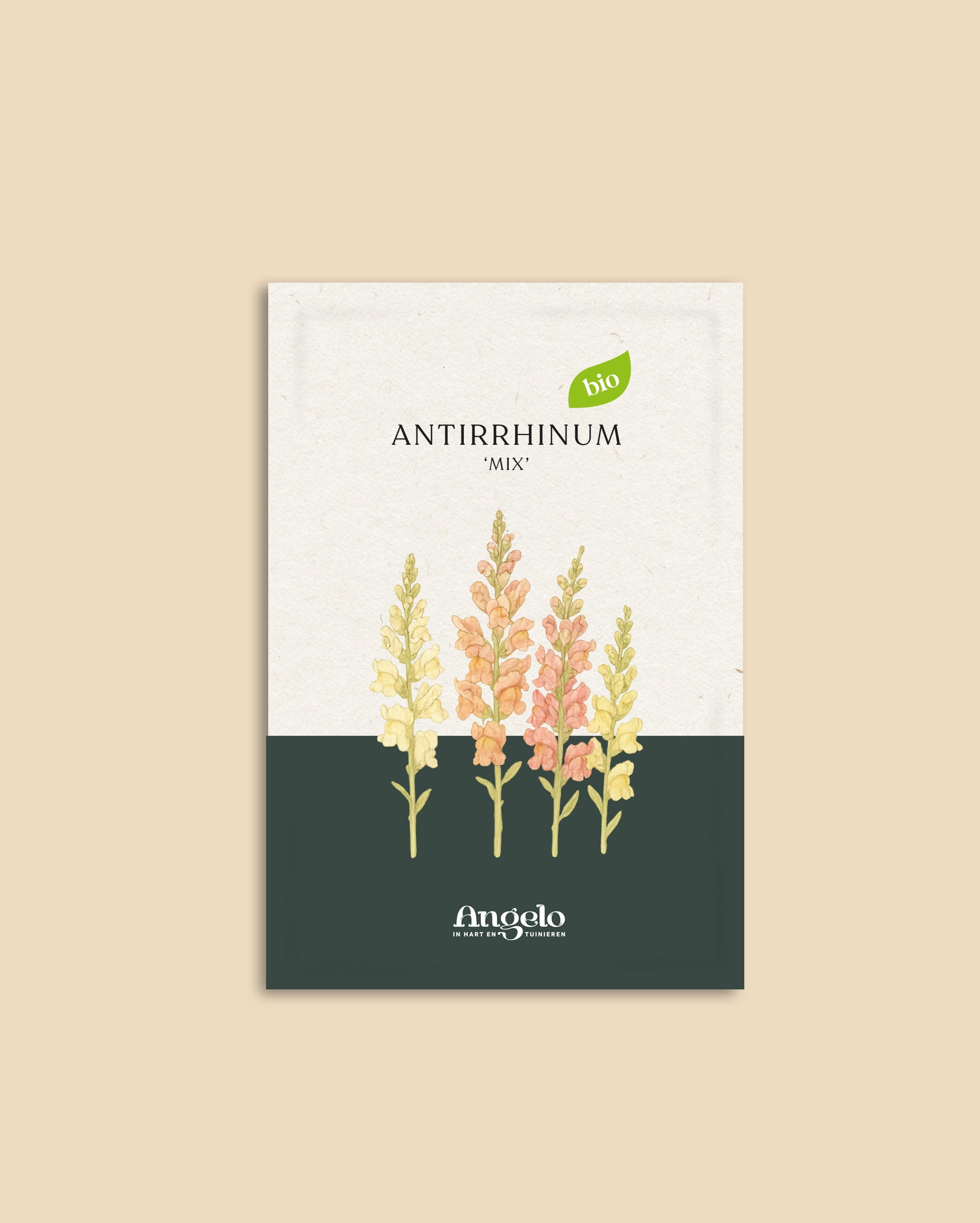 Antirrhinum majus 'mix'-Angelo