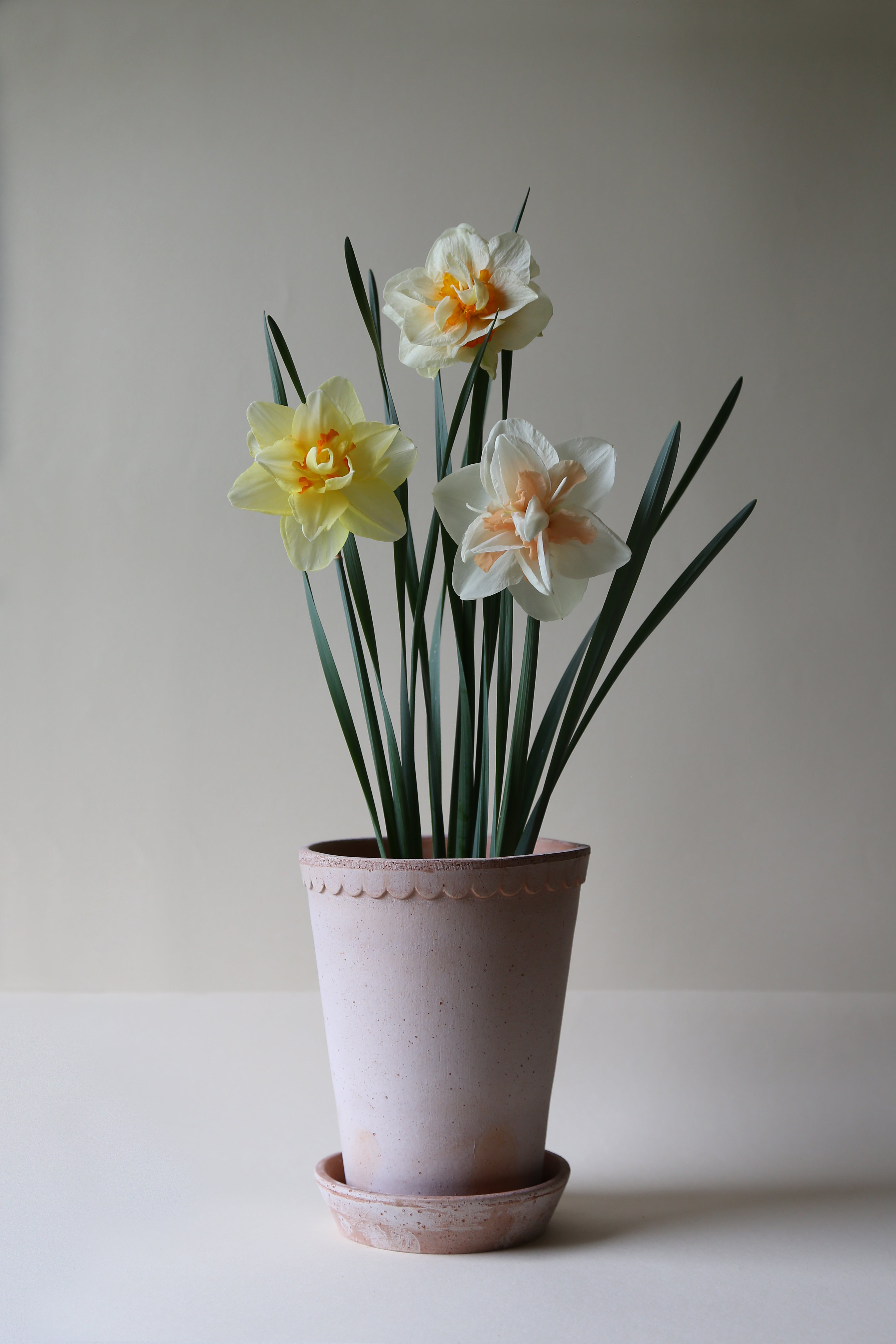 Pot Helena - hoog