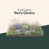 Borderpakket: Bee's Choice