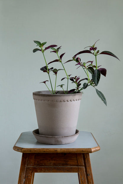 Pot Helena