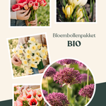 Bloembollenpakket Biologisch