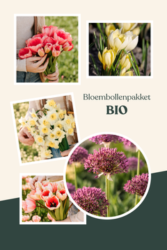 Bloembollenpakket Biologisch