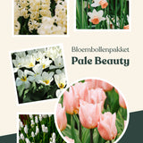 Bloembollenpakket Bloembollenlasagne Pale Beauty