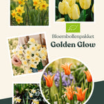 Bloembollenpakket Golden Glow BIO