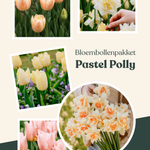 Bloembollenpakket Pastel Polly