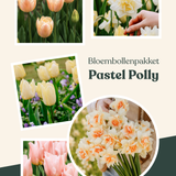 Bloembollenpakket Pastel Polly