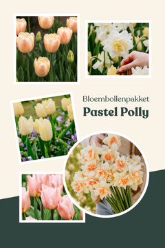 Bloembollenpakket Pastel Polly