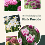 Bloembollenpakket Pink Parade